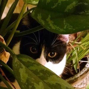 Meet your Posher, Tammy